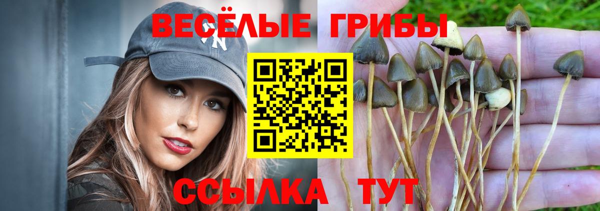 Псилоцибиновые грибы MAGIC MUSHROOMS  Галлюциногенные грибы Cubensis  Старая Купавна  Вход с VPN 